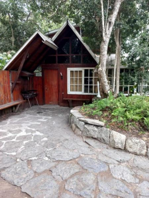 CABAÑA 5 PUCON